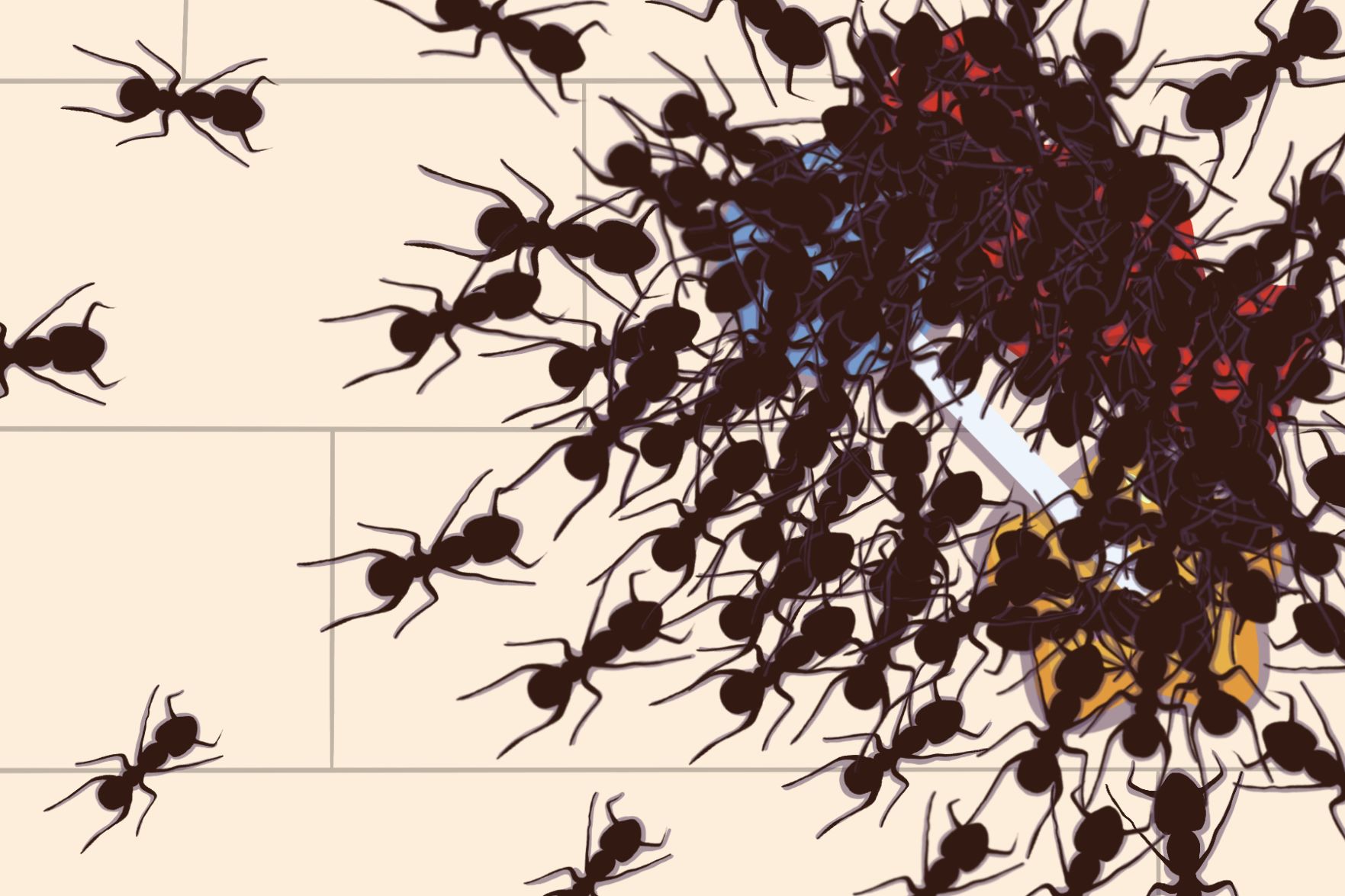 HOUSING: The 'tyr-ants' of London graphic (png)